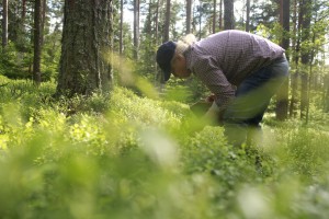 sommarwebb5